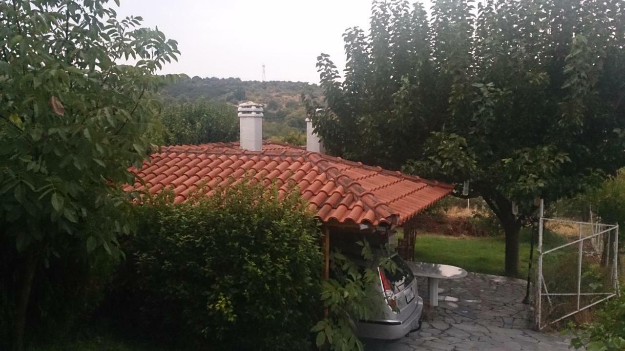 Eleni'S Village Relaxation Home إيديبسوس المظهر الخارجي الصورة