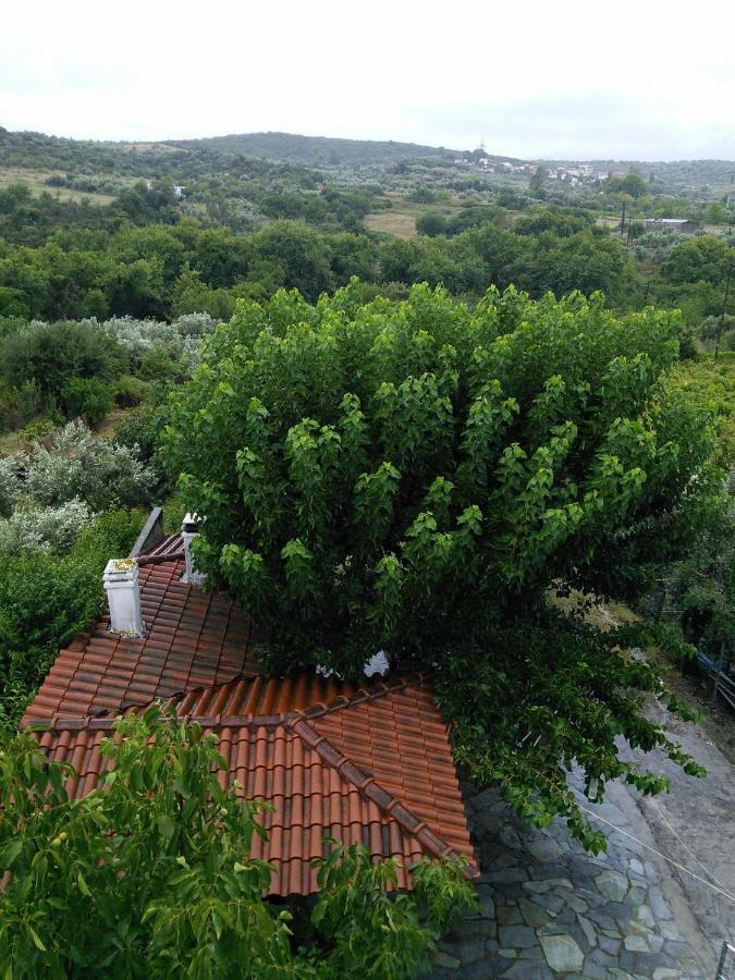 Eleni'S Village Relaxation Home إيديبسوس المظهر الخارجي الصورة