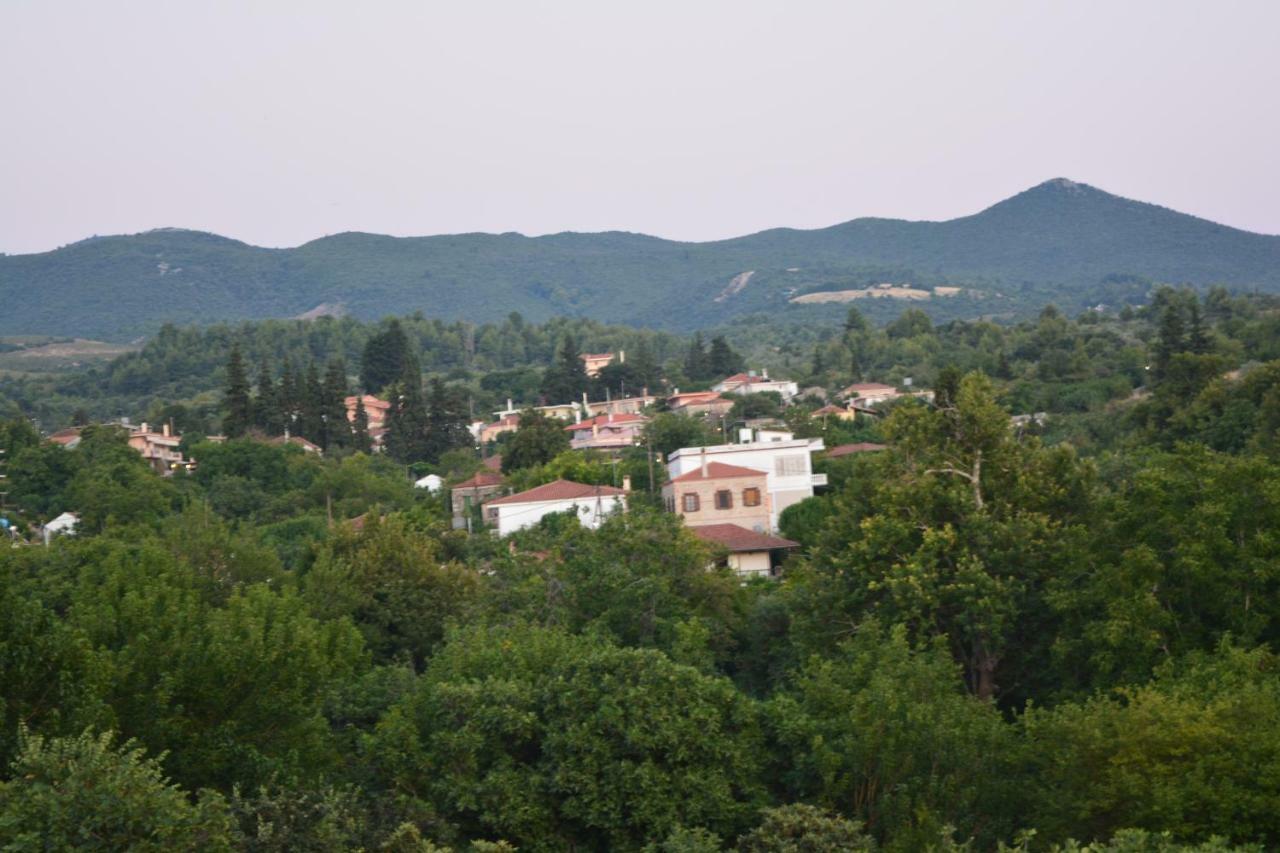 Eleni'S Village Relaxation Home إيديبسوس المظهر الخارجي الصورة
