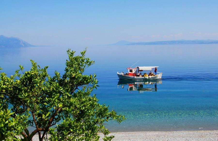 Eleni'S Village Relaxation Home إيديبسوس المظهر الخارجي الصورة