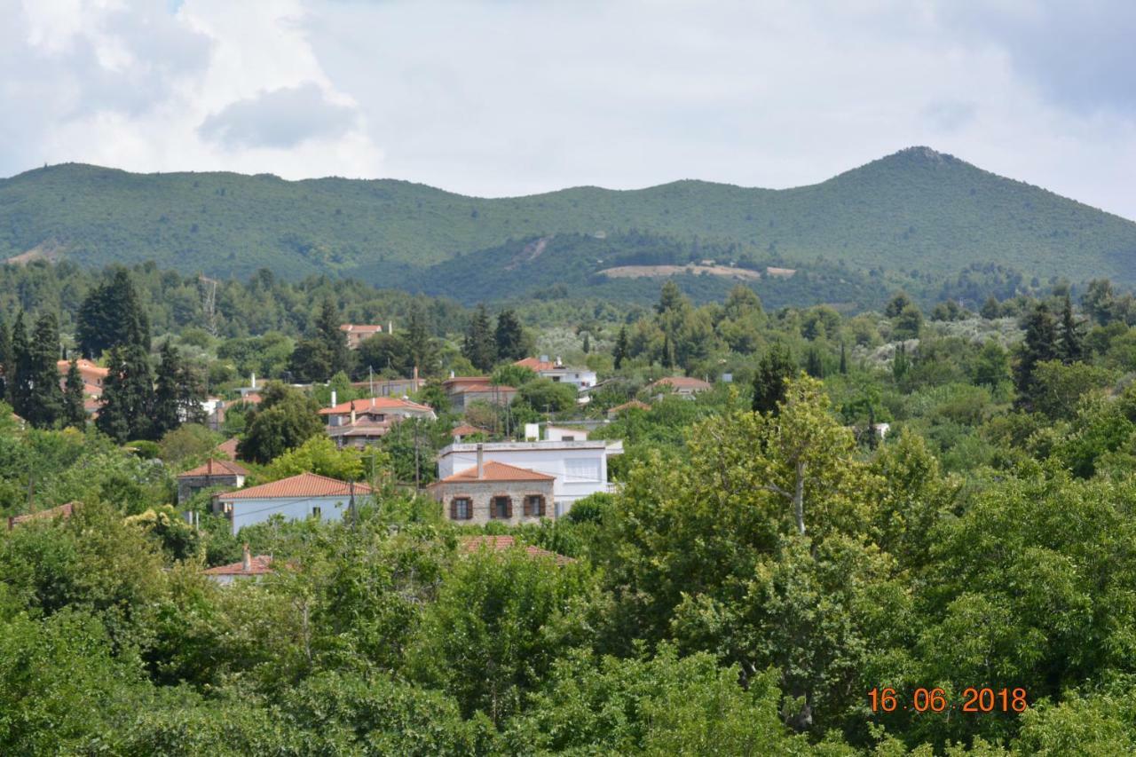 Eleni'S Village Relaxation Home إيديبسوس المظهر الخارجي الصورة